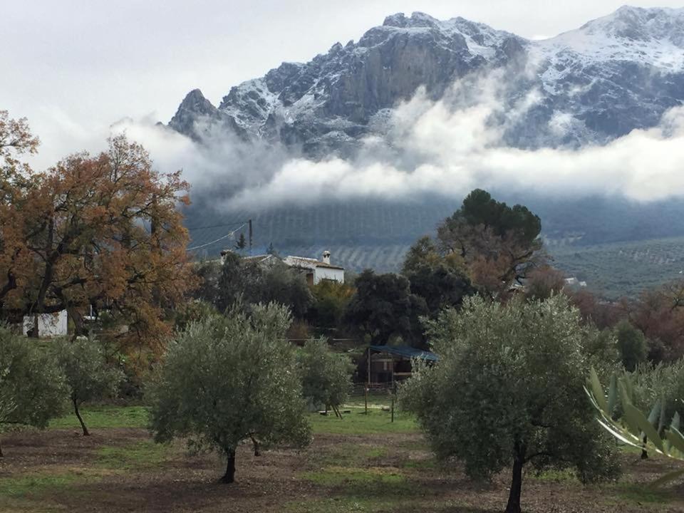 Posada Nina Margarita Priego de Córdoba Buitenkant foto