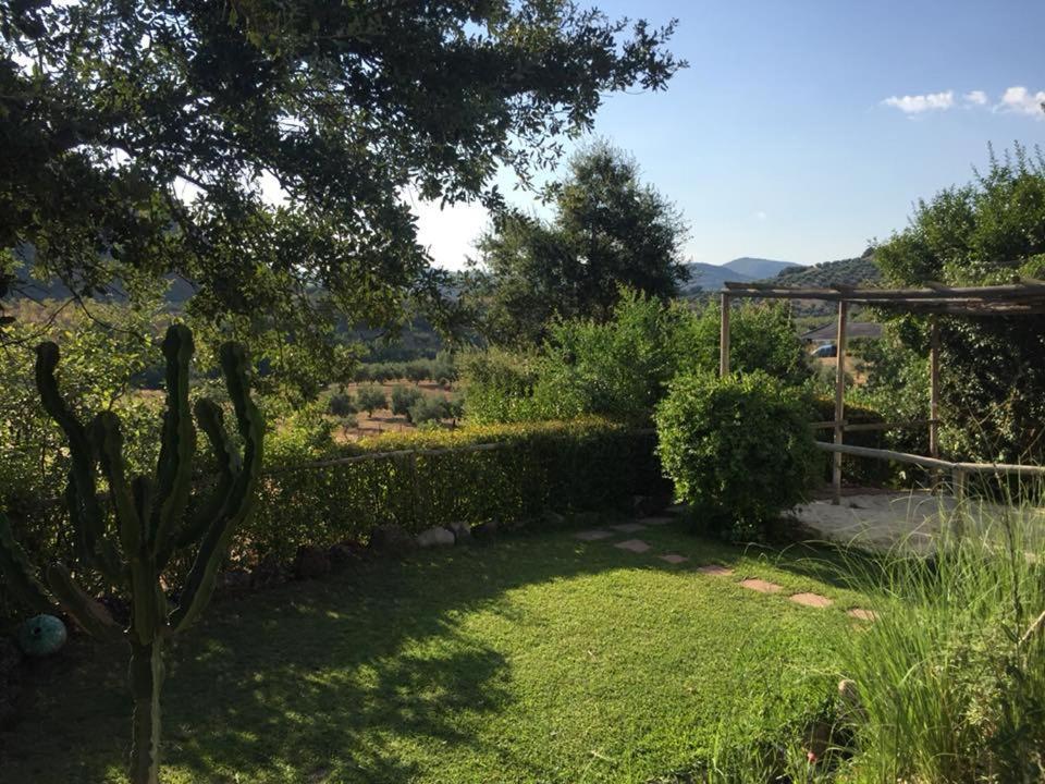 Posada Nina Margarita Priego de Córdoba Buitenkant foto
