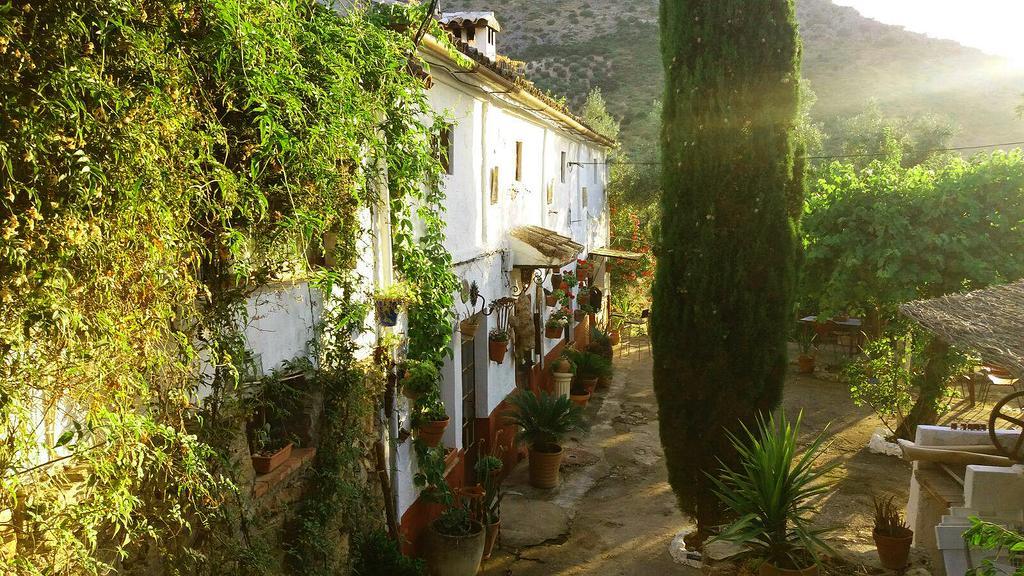 Posada Nina Margarita Priego de Córdoba Buitenkant foto